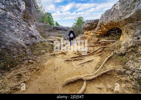 Frau, die in einer seltsamen Landschaft aus großen Felsen und Baumwurzeln auf dem Boden herumläuft. Verzauberte Stadt, Cuenca. Stockfoto