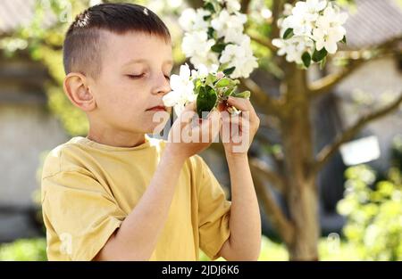 Kleiner Junge riecht blühenden Apfelzweig. Kind in der Nähe von schönen blühenden Baum. Blütengarten im Frühjahr Stockfoto