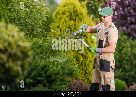 Prozess der Baumformung im Garten des Hinterhofs durch das Pruning der überwucherten Zweige mit Gartenscheren. Kaukasischer Gartenlandschaftspfleger, Der Seine Arbeit Verführt. Stockfoto