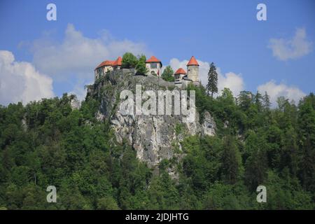 Aspekte des Bleder Sees, Slowenien, Europa Stockfoto