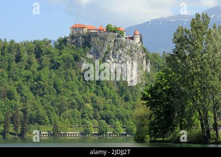 Aspekte des Bleder Sees, Slowenien, Europa Stockfoto