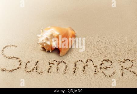 Tropische Schale und Inschrift SOMMER auf dem Sand Stockfoto