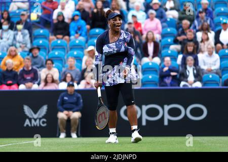 Serena Williams feiert den Sieg des Doppelmatches mit 16 Mannschaftskollegen Ons Jabeur auf dem Mittelfeld am vierten Tag des Rothesay International Eastbourne im Devonshire Park, Eastbourne. Bilddatum: Dienstag, 21. Juni 2022. Stockfoto