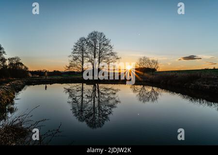 Schöner alter Baum mit Sonnenstrahlen im Wasser reflektiert.ländliche Frühlingslandschaft mit Bäumen gegen blauen Himmel bei Sonnenuntergang.friedliche und geeignete Atmosphäre Stockfoto