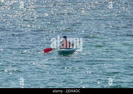 Mann paddelt im Sommer mit einem Kanu im Meer von hinten gesehen Stockfoto