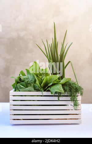 Frisches Gemüse in einer weißen Schachtel - grüne Zwiebeln, Dill, Spinat auf einem weißen Tisch auf dem Hintergrund einer Betonwand. Lieferung von frischem Gemüse nach Hause, ideal für diätetischen Frühlingssalat. Helle Sonnenstrahlen. Speicherplatz Kopieren. Stockfoto