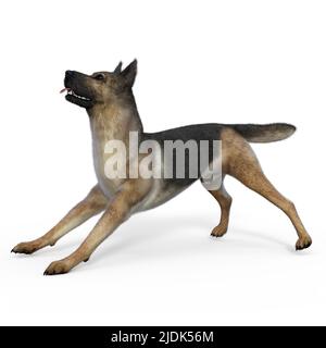 3D-Illustration eines isolierten deutschen Schäferhundes, der wartet Stockfoto