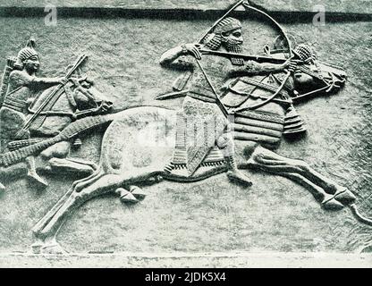 Dieses Bild aus dem Jahr 1910 zeigt die Jagd eines assyrischen Königs. Das Steinrelief befindet sich im British Museum in London. Hier galoppiert der König Aschurbanipal vorwärts und schießt auf wilde Esel. Einer der Reiter hinter ihm hat Ersatzpfeile und der andere eine Ersatzhalterung. Esel werden von Hunden geschossen oder heruntergezogen. Ashurbanipal regierte 600s v. Chr.. Das Datum dieses Reliefs, das am Nordpalast in Ninive aufgedeckt wurde, ist 645-635 v. Chr. Stockfoto