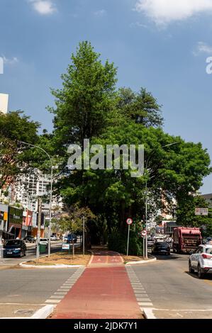 Fahrradweg auf dem mittleren Streifen der Sumare Avenue mit normalem Geschäftsverkehr an beiden Seiten, neben der Apiacas Straße unter blauem Himmel Stockfoto