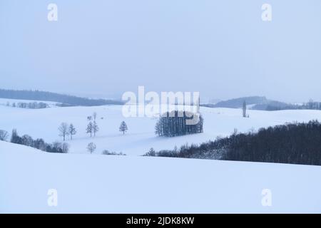 Weite Sicht auf die minimale Biei Landschaft im Winter, Hokkaido, Japan Stockfoto