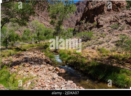 Bright Angel Creek in der Nähe des Bright Angel Campground, Grand Canyon National Park, Arizona, USA Stockfoto