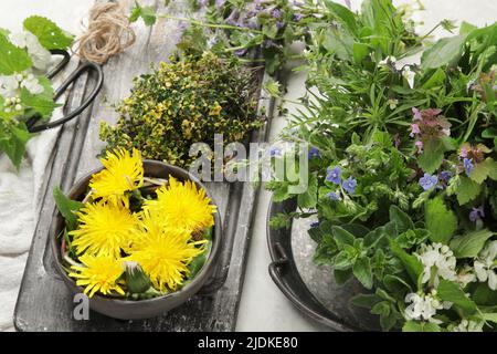 Essbare Pflanzen und Blumen auf hellem Hintergrund. Wildkräuter als Quellen von Carotinoiden. Stockfoto