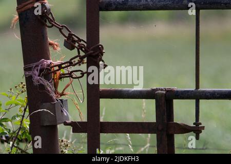 Altes Metalltor mit Kette und Schnur und einem Feld Hinter Stockfoto