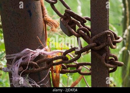 Altes Metalltor mit Kette und Schnur auf einem natürlichen Grüner Hintergrund Stockfoto