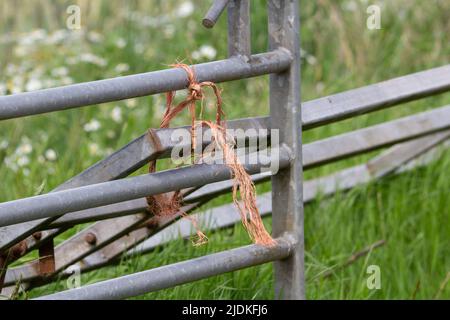 Altes Metalltor mit Schnur und ein Feld dahinter mit Wilde Blumen Stockfoto