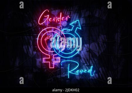 Gender Reveal Pink and Blue Neon Zeichen auf einem dunklen Herz verziert Holzwand 3D Illustration. Stockfoto