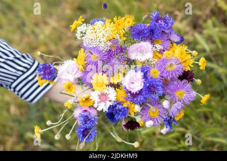 Bouquet von gemischten Wildblumen in der Hand einer jungen Frau. Schöne florale Hintergrund. Draufsicht auf einen Strauß wilder Blumen. Speicherplatz kopieren. Stockfoto