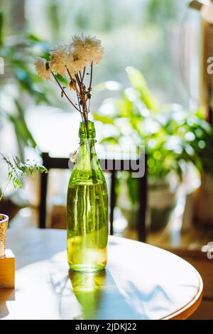 Komposition von Blumenstrauß aus weißen Chrysanthemen in grüner transparenter Flasche in der Nähe von Farn auf dem runden Tisch am sonnigen Tag. Stockfoto