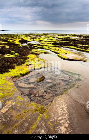 Felsen-Pool am Strand von Wellhaugh Punkt schlendern durch das Meer Northumberland England Stockfoto