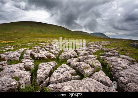 Ingleborough aus Fell Close Rocks in der Nähe von Ribblehead Yorkshire Dales England Stockfoto