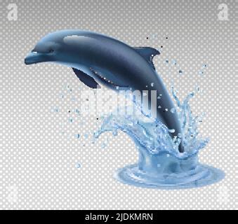 Springender Delphin auf transparentem Hintergrund realistisches und farbliches Symbol mit Wasserspritzer-Vektor-Illustration Stock Vektor