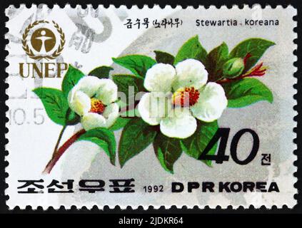 NORDKOREA - UM 1992: Eine in Nordkorea gedruckte Marke zeigt die koreanische Stewartia, Stewartia pseudocamellia, eine aus J stammende Blütenpflanze Stockfoto