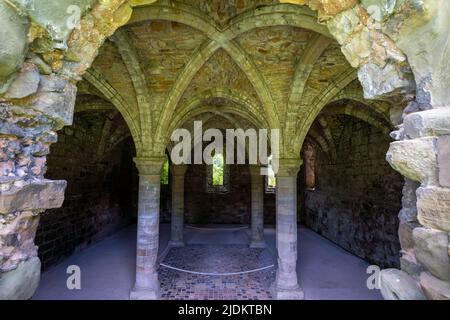 Kapitelhaus mit gewölbtem und gefliestem Boden in der Buildwas Abbey in Shropshire, England Stockfoto