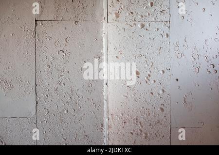 Strukturierte Wand mit Muschelsteinfliesen ausgekleidet. Stockfoto