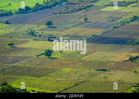 Malerische Drohnenansicht der malerischen grünen landwirtschaftlichen Felder an sonnigen Tag in der Landschaft Stockfoto