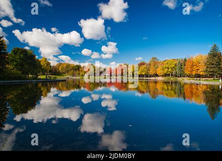 Im Herbst spiegeln sich bunte Bäume und Baumwollwolken am Beaver Lake, Mount Royal, Montreal, Quebec, Kanada Stockfoto