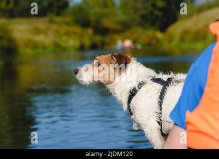 Nasser lustiger Hund im Kanu, der am Ufer des Flusses schaut, will vom Boot entkommen Stockfoto