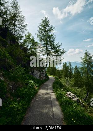 Wanderweg den Kehlstein hinunter in Deutschland Stockfoto