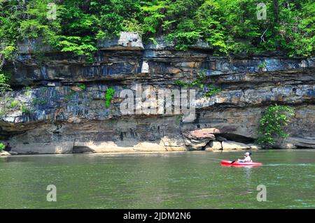 Die wunderschönen Kanawha Falls (New River) in West Virginia bieten großartige Angelmöglichkeiten und andere Wassersportarten wie Kajakfahren! Stockfoto