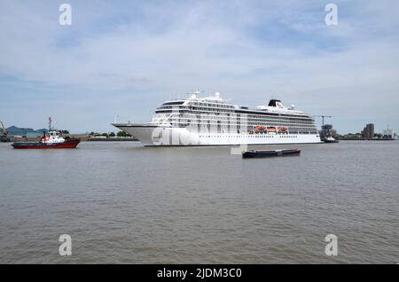 Das Kreuzschiff Viking Venus im Besitz von Viking Ocean Cruises auf der Themse in London Stockfoto