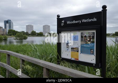 Woodberry Wetlands, ein urbanes Naturschutzgebiet in Stoke Newington, London Stockfoto