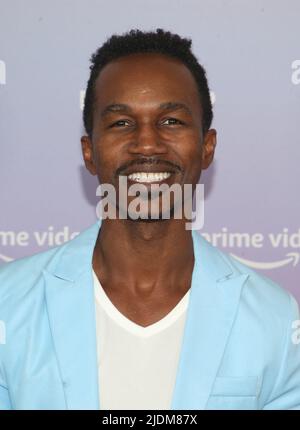 SANTA MONICA, CA - 21. JUNI: Jacques Derosena bei der Sommersonnenwende von Prime Video im Santa Monica Proper Hotel in santa Monica, Kalifornien, am 21. Juni 2022. Quelle: Saye Sadou/MediaPunch Stockfoto