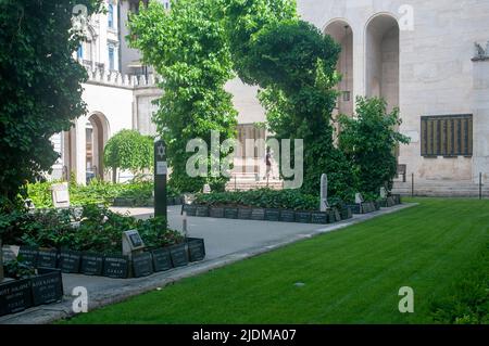 Gedenkgarten für die Juden, die während des Holocaust ermordet und in unmarkierten Gräbern in der Synagoge in der Dohany Straße, Budapest, Ungarn, begraben wurden Stockfoto