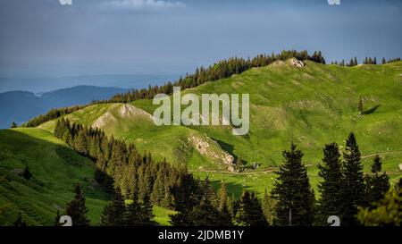 Rarau-Gebirge, Ostkarpaten, Rumänien. Stockfoto