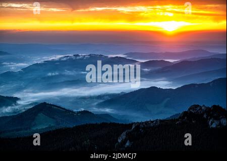 Sonnenaufgang in den Rarauer Bergen, Ostkarpaten, Rumänien. Stockfoto