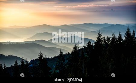 Sonnenaufgang in den Rarauer Bergen, Ostkarpaten, Rumänien. Stockfoto