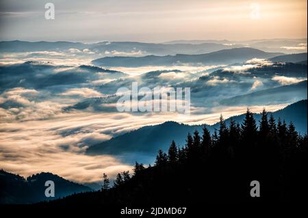 Sonnenaufgang in den Rarauer Bergen, Ostkarpaten, Rumänien. Stockfoto