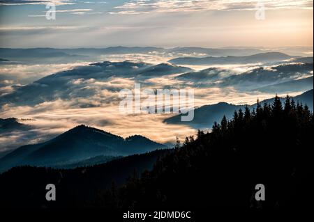 Sonnenaufgang in den Rarauer Bergen, Ostkarpaten, Rumänien. Stockfoto