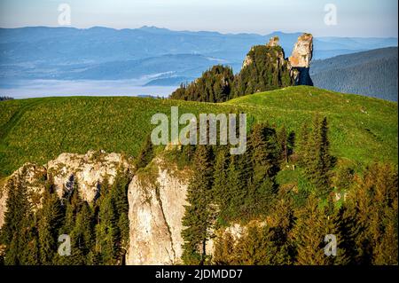 Rarau-Gebirge, Ostkarpaten, Rumänien. Stockfoto