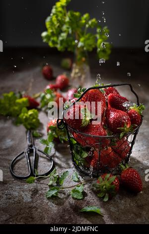 Frische Erdbeeren leckere Früchte Stockfoto