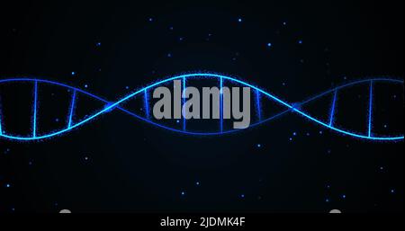 Bild des dna-Strähnens auf schwarzem Hintergrund Stockfoto