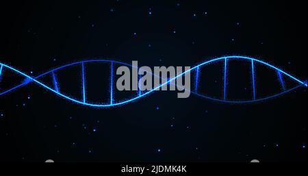 Bild des dna-Strähnens auf schwarzem Hintergrund Stockfoto