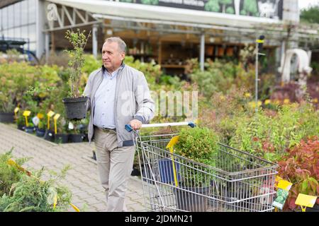 Kaukasischer Mann, der Sprossen im Gartencenter auswählt Stockfoto