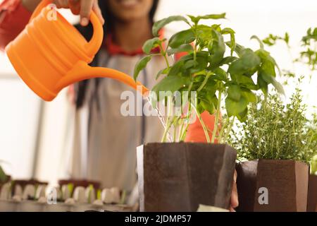 Mittelteil der biracial junge Frau Gießen Topfpflanzen zu Hause Stockfoto