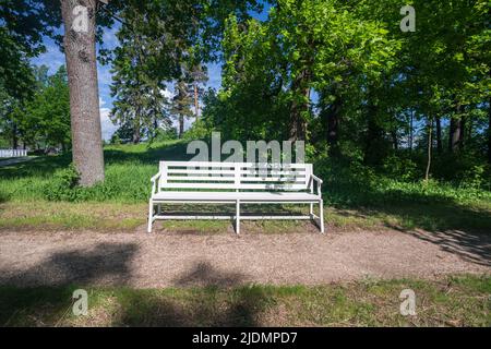 Weiße Bank in einem Park oder Wald. Hochwertige Fotos Stockfoto