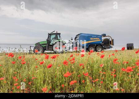 Garrettstown, Cork, Irland. 22.. Juni 2022. Mohn wächst am Rande eines Feldes, während der Farmunternehmer James Bryan in Garrettstown, Co. Cork, Irland, frisch geschnittenes Gras ballen. - Credit; David Creedon / Alamy Live News Stockfoto